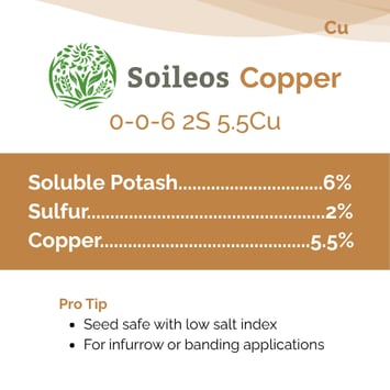 Baseball Cards Copper