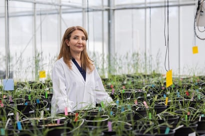 Farah_Lucent-Bio-Research-Greenhouse