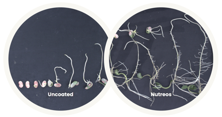 Nutreos-vs-Uncoated